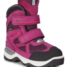 Ecco Snow Mountain