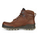 Ecco Track 25 M 831704 52600