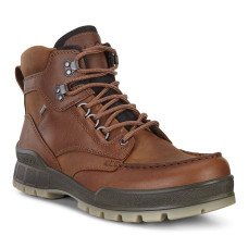 Ecco Track 25 M
