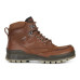 Ecco Track 25 M 831704 52600
