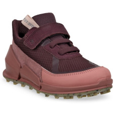 Ecco Biom K2
