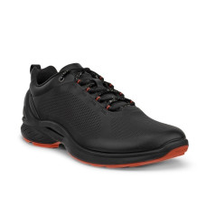 Ecco Biom Fjuel