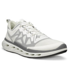 Ecco Biom 720
