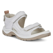 Ecco Offroad