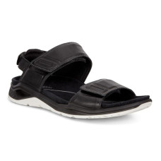 Ecco X-Trinsic