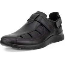 Ecco Irving