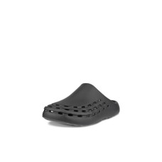 Ecco Cozmo