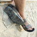 Ecco X-Trinsic 880614 01543