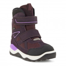 Ecco Snow Mountain