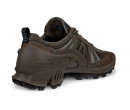 Кроссовки + Ecco Biom C-Trail