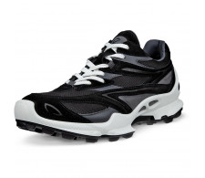 Ecco Biom C-Trail