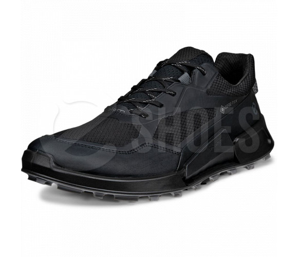 Кроссовки + Ecco Biom 2.1 X Mountain