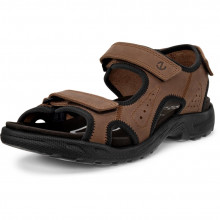 Ecco Hike M